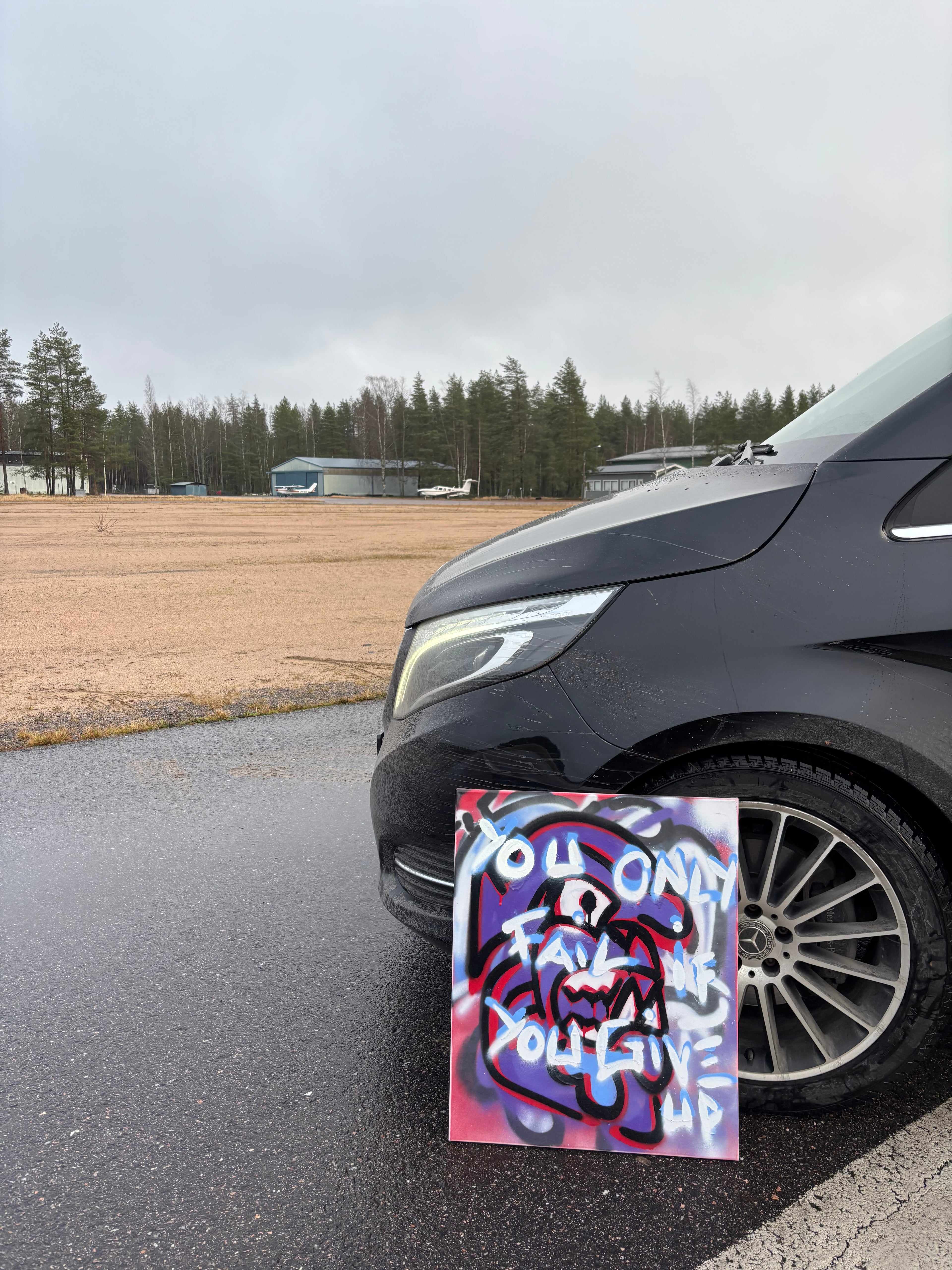 ”VANDALIZED” MADDOG