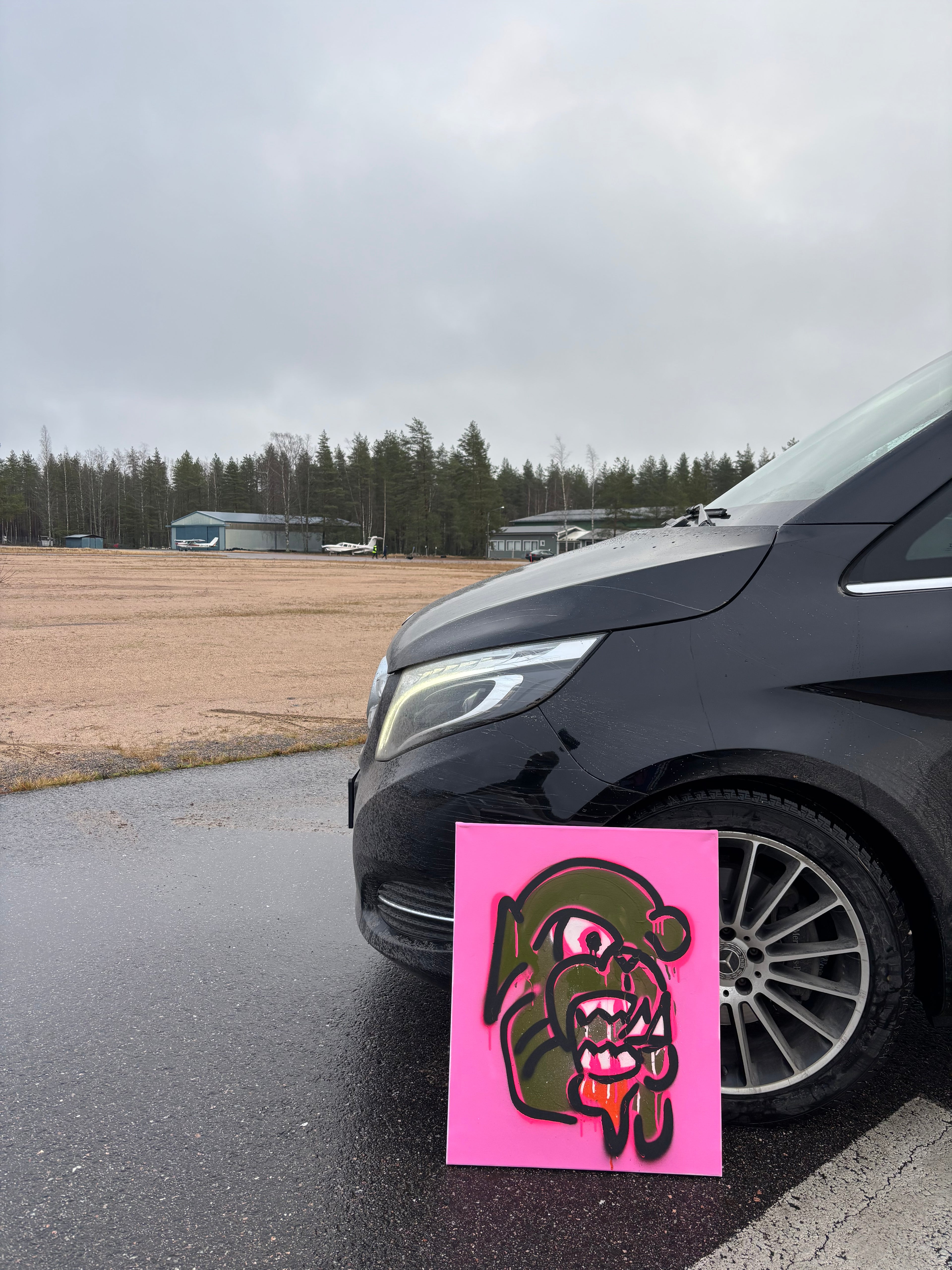 ”ACEITUNA” MADDOG